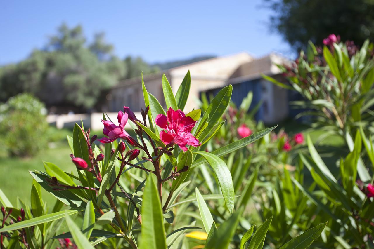 Agroturismo Finca Dalt Murada Binissalem Zewnętrze zdjęcie